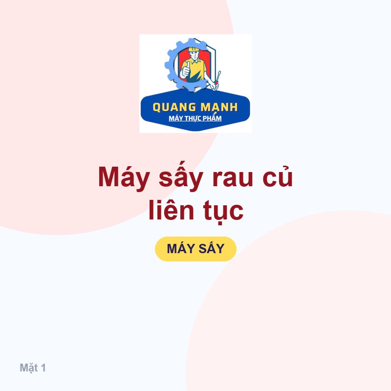 Máy sấy rau củ liên tục